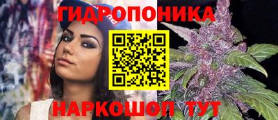 ешки Тара